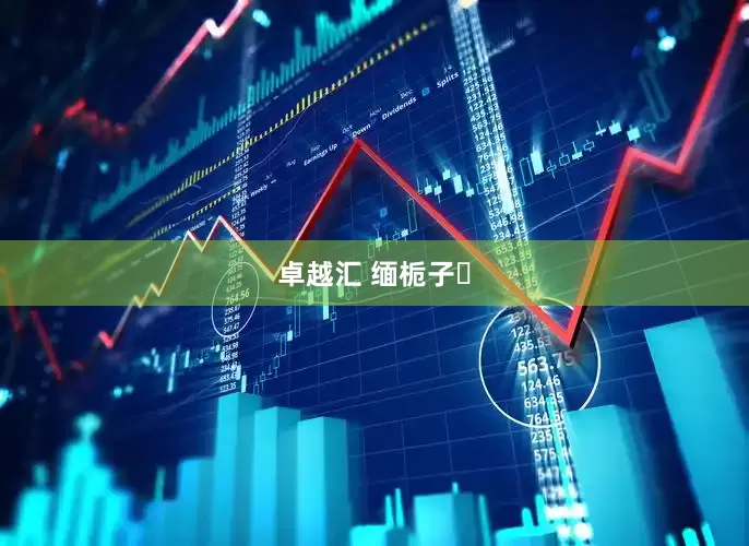 卓越汇 缅栀子‌