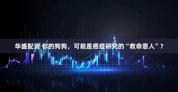 华盛配资 你的狗狗，可能是癌症研究的“救命恩人”？