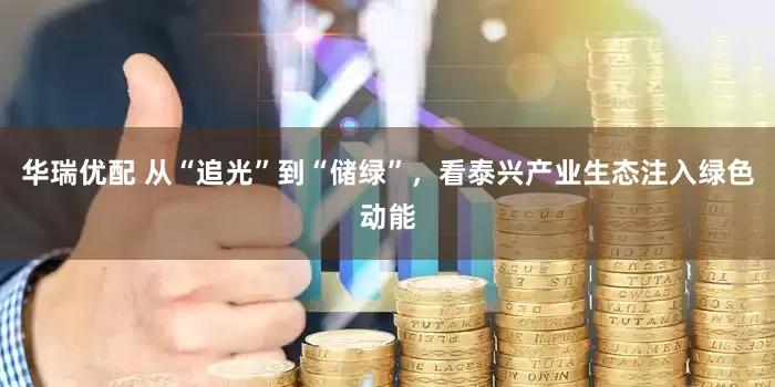 华瑞优配 从“追光”到“储绿”，看泰兴产业生态注入绿色动能